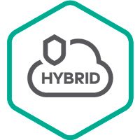 Купить Kaspersky Security для виртуальных и облачных сред – Enterprise Edition, Desktop