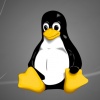 Обнаружена опасная уязвимость в дистрибутивах Linux